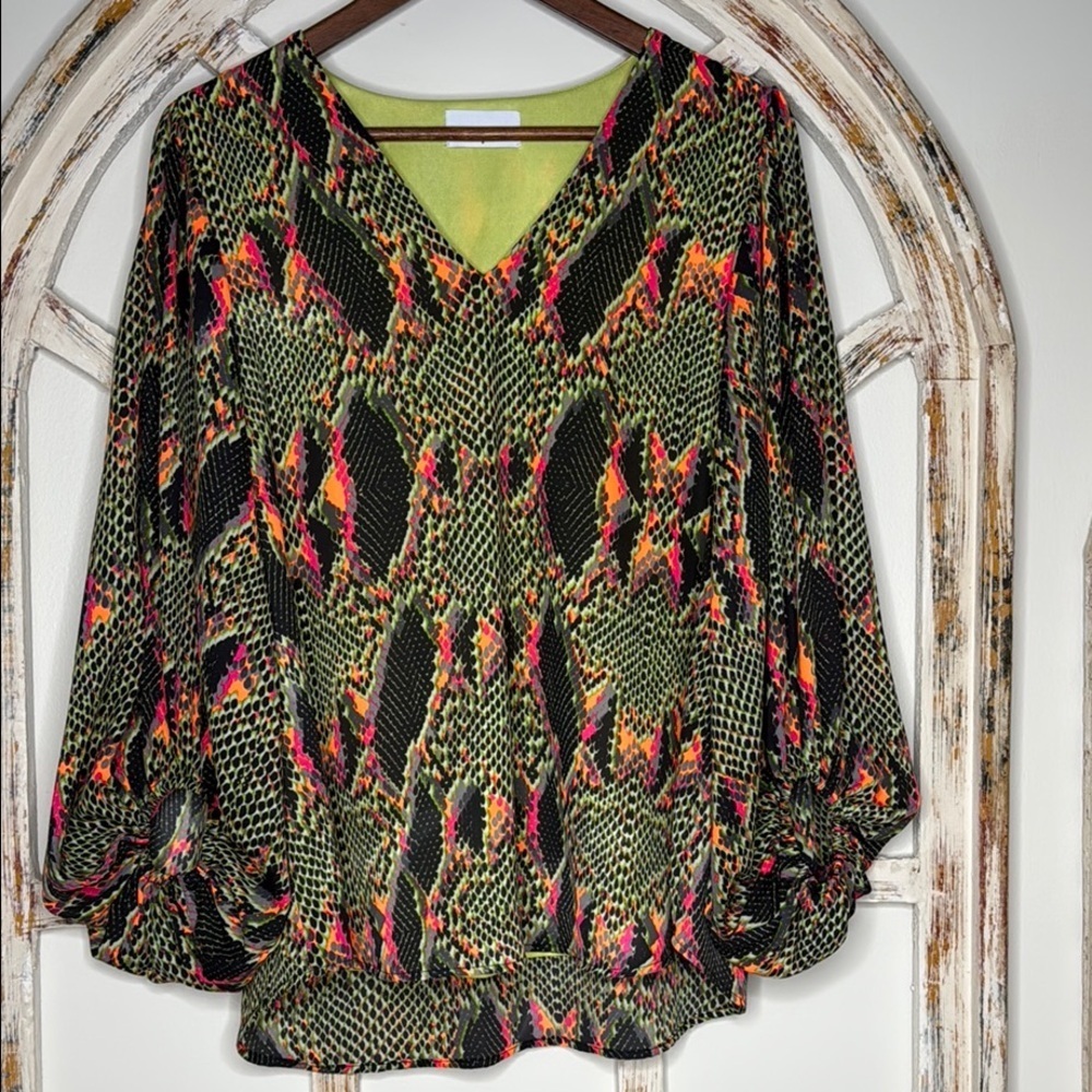 Adrienne Multicolor Snake Print V-Neck Blouse